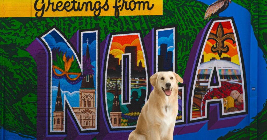 Dog-Friendly Breweries New Orleans